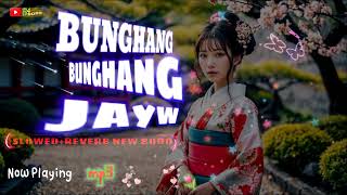 Bunghang Bunghang JaywHitt Mp3SlowedReverb New BodoSong 2024B4Boro [upl. by Lengel192]