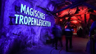 Magisches Tropenleuchten im Zoo Leipzig 2019 [upl. by Diantha]