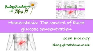 Blood Glucose Regulation and Diabetes [upl. by Avelin]