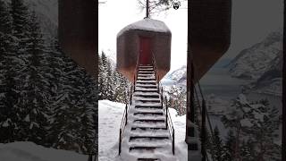 Norways Luxury Tree House shortsvideo [upl. by Camala]