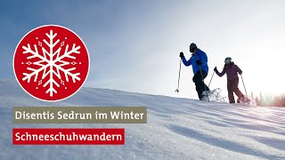 Schneeschuhwandern in Disentis Sedrun [upl. by Bart827]