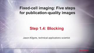 14 Blocking–Fixed cell imaging 5 steps for publicationquality images [upl. by Ilyk]