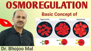 Osmoregulation  What is Osmoregulation  Hypertonic  Hypotonic  Isotonic  by Dr Bhojoo Mal [upl. by Aisanahta]