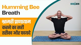 भ्रामरी प्राणायाम करने का सही तरीका और फायदे Bhramari Pranayama  Yoga Breathing Techniques in Hindi [upl. by Cristal]