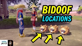 ALL Bidoof Locations Request 8 Bothersome Bidoofs Walkthrough  Pokemon Legends Arceus [upl. by Arno]