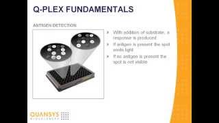 An Introduction to Q Plex Technology [upl. by Ahsimaj]