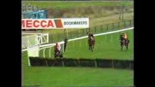 1989 Roux Restaurants Tolworth Hurdle [upl. by Norramic795]