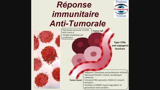 Immunité Anti tumorale Mécanisme Réactionnel des Réponses immunitaires AntiTumorale Poumon [upl. by Aarika]