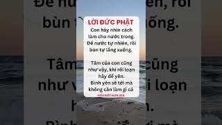 con hãy nhìn cách làm cho nước trong lời đức phật dạy loisong baihoccuocsong loiphatday [upl. by Neroc]