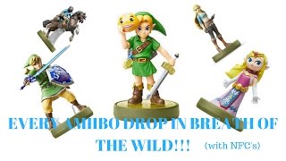 Every Amiibo Drop in The Legend of Zelda Breath of the Wild [upl. by Aufa460]