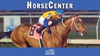 Lecomte and Louisiana top picks on HorseCenter [upl. by Enna]