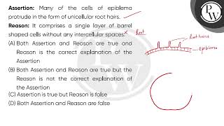 Assertion Many of the cells of epiblema protrude in the form of unicellular root hairs\nReason [upl. by Retsam]