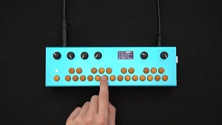 Critter amp Guitari  Jeraphy Organelle Demo [upl. by Neitsirhc]