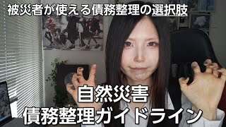 被災者が使える債務整理の方法「自然災害債務整理ガイドライン」の対象、メリット、手続を解説 [upl. by Audres17]