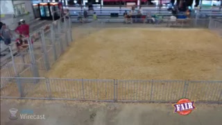 2017 Porter County Fair 4H Show Arena Live Stream [upl. by Kreit]