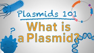 What is a Plasmid  Plasmids 101 [upl. by Rhianna842]