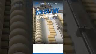 Wafer Line formamakina machine machinedesign factory wafer [upl. by Oner]