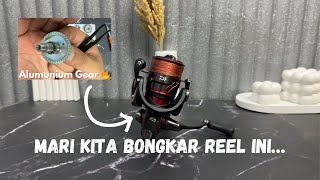 Daiwa Ballistic LT 2000 DXH 2017  Pecinta casting pasti tau reel ini… [upl. by Caitlin]