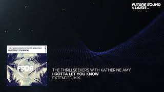 The Thrillseekers With Katherine Amy I Gotta Let You Know Extended Mix [upl. by Sucramaj]