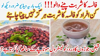 Falsa Fruit Benefits  Falsa Juice RecipeFacts about Grewia fruit SZ official [upl. by Attenyw]