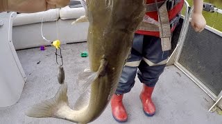 How to Catch BIG Catfish  Baits Rigging Cast Net Tutorial and Location ft Catfish and Carp [upl. by Talley]