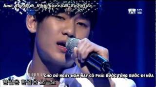 VietsubKaraHangulDreamingKim Soo Hyun live [upl. by Haramat841]