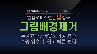 ESH020 한컴오피스 한글 그림배경제거 방법 투명효과 아웃포커싱 효과 수평 맞추기 효과 기능 강좌 한글그림배경제거 한글아웃포커싱효과 한글그림수평맞추기 [upl. by Akkin]