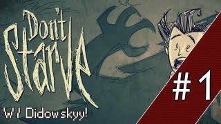 Zagrajmy w Dont Starve 1  Poradnik quotJak zacząćquot [upl. by Gnagflow]