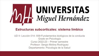 UDII Lec014 Estructuras subcorticales sistema límbico Parte 001umh0939 202223 [upl. by Holle]