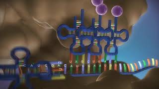 Proteinbiosynthese 3D in 3 Minuten  made EASY [upl. by Joey]