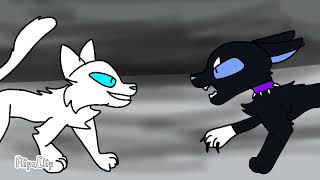 Scourge warrior cats animation BLOOD [upl. by Ghiselin476]