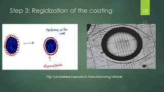 Microencapsulation by Coacervation Phase Separation Surawase Sir [upl. by Allisan]