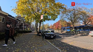 Bronx Walk NYC – Exploring Pelham Parkway Neighborhood November2023 [upl. by Ribaudo]