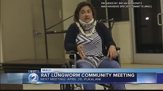 Rat lungworm disease community meetings to be held on Maui [upl. by Aerbas774]