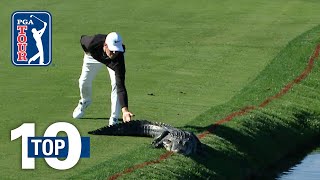 Top 10 Animal Encounters on the PGA TOUR [upl. by Gnuh]