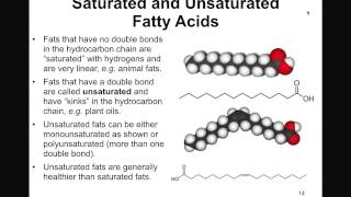 Structure and Function of Lipids [upl. by Marler604]