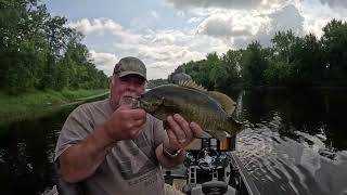 Upper Mississippi River Smallmouth Bass Slugfest August 2024 [upl. by Stacia327]