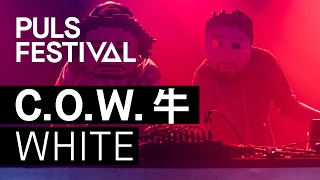 COW 牛  White live beim PULS Festival 2016 [upl. by Pavkovic]