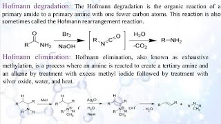 Hofmann degradation natural products  alkaloids [upl. by Mickelson695]