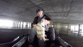 Kayak Fishing Under Bridge  Saltwater Catch and Cook [upl. by Ainoval]