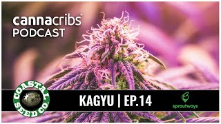 Kagyu and Coastal Seed Co  Legendary Cannabis Breeder Joins Sproutways Network of B2B Seed Sales [upl. by Aihsot]