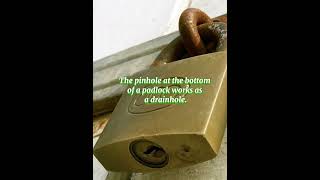 why do have a small hole in padlocks padlock shorts youtubeshorts [upl. by Koziarz615]