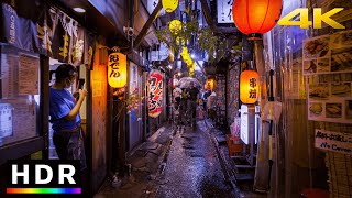 Tokyo Rainy Night Walk in Shinjuku  4K HDR Spatial Audio [upl. by Sheryle681]