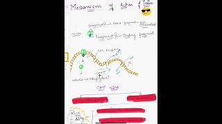 Pathogenesis of cholera microbiology [upl. by Calie]