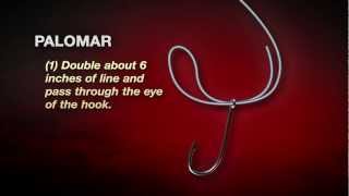 How To Tie The Palomar Knot In 4 easy steps [upl. by Negris446]