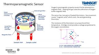 GE Webinar Oxygen Measurement for Chemical amp Fuel Storage Safety [upl. by Edina]