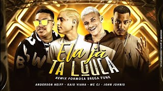 VAI MOSTRAR O PEITIN PRA MIM ELA JÁ TÁ LOUCA  ANDERSON NEIFF KAIO VIANA E MC CJ REMIX BREGA FUNK [upl. by Janeczka]