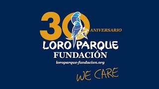 30th Anniversary of Loro Parque Fundación [upl. by Analli]