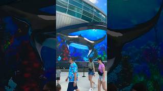 Sea creatures attack at the Port of Nassau Bahamas  PART 3 stingray manta [upl. by Web]