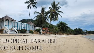 Tropical Paradise of Koh Samui [upl. by Braun63]